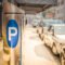 Machine parking on a city street